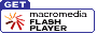 FLASH PLYER