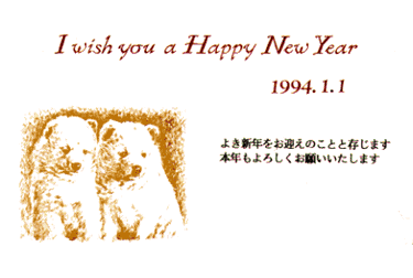 1994N-N