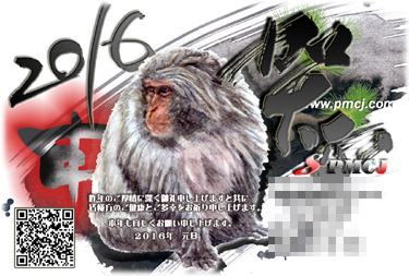 2016N-N